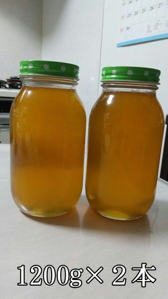 令和7年産西洋蜜蜂百花蜜1200g×2本
