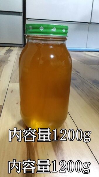 令和7年産西洋蜜蜂百花蜜1200g