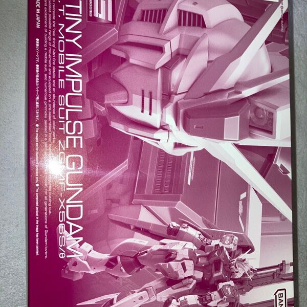 1/144 RG ZGMF-X56S/θ デスティニーインパルス プレミアムバンダイ限定