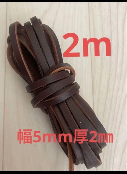プローブメンテナンス紐交換用 革紐 クラフト 幅5mm厚2㎜ レッドブラウン2m