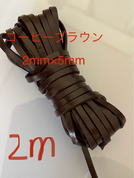プローブメンテナンス紐交換用 革紐 クラフト 幅5mm厚2㎜ コーヒーブラウン2m