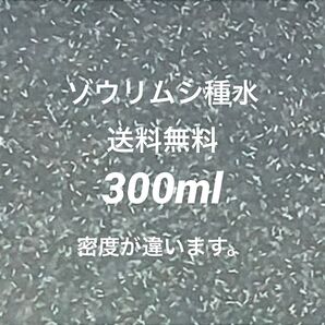 ゾウリムシ種水300ml濃縮