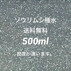ゾウリムシ種水500ml濃縮