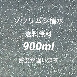 ゾウリムシ種水900ml濃縮