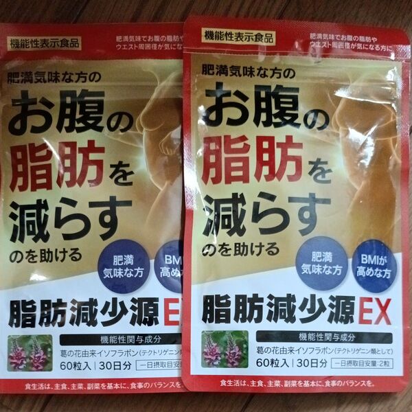 脂肪減少源EX 60粒 30日分 2袋
