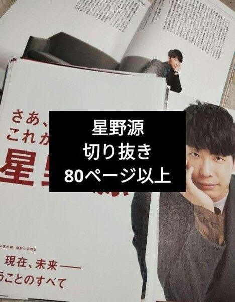 【星野源】切り抜きセット 80ページ以上 切り抜きまとめ ほしのげん MUSICA Rockin'on JAPAN