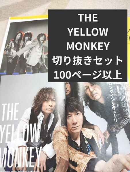 【THE YELLOW MONKEY】切り抜きセット 100ページ以上 イエモン 雑誌切り抜きまとめ