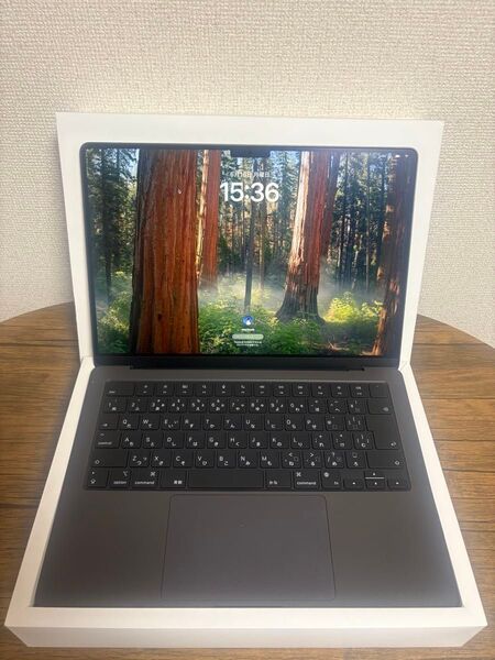 MacBook Pro M4 Pro メモリ24GB/SSD1TB Nano-texture 14インチ