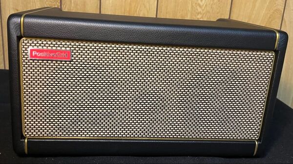 Positive Grid Spark 40 ギターアンプ