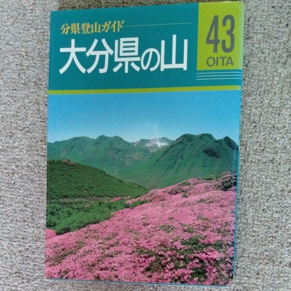 大分県の山 分県登山ガイド 43 山と渓谷社