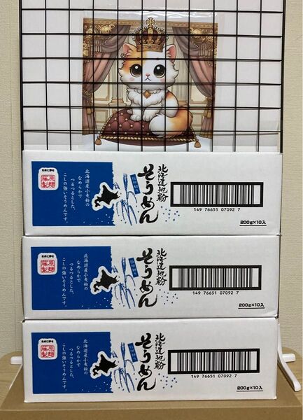 【藤原製麺】北海道地粉 そうめん 3箱セット(計30袋)