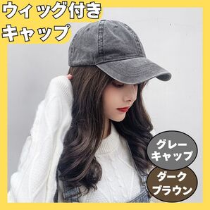帽子 ウィッグ ウィッグ付き帽子 キャップ ロング ダークブラウン ネット付き