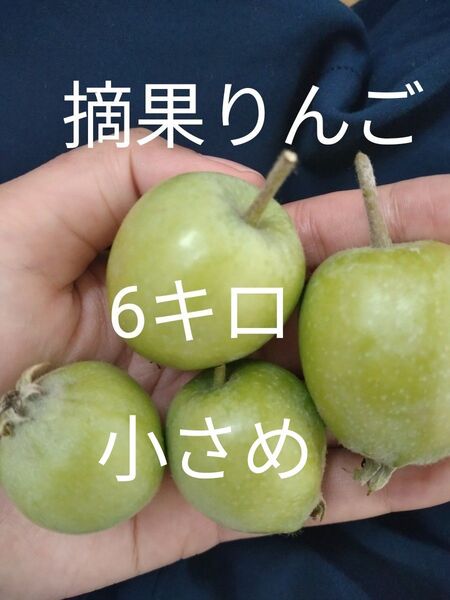 摘果りんご 加工用 6キロ