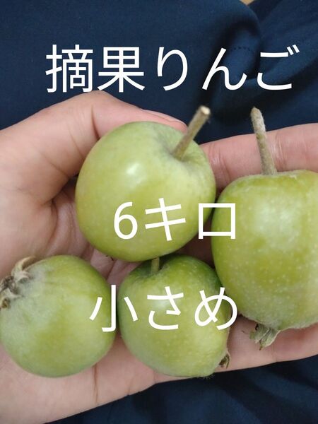 摘果りんご 加工用 6キロ