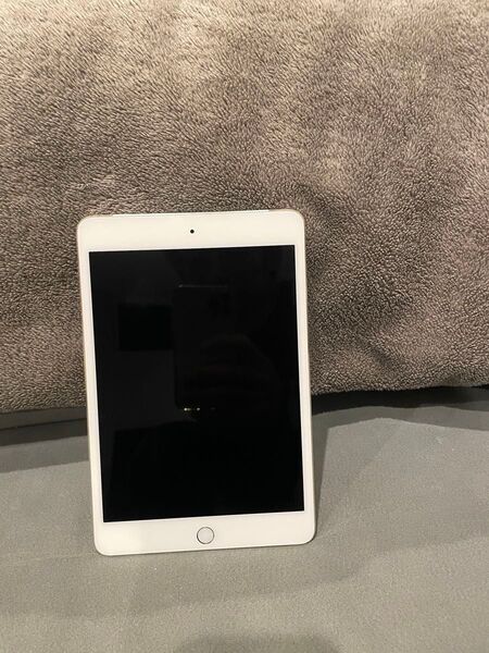 Apple iPad mini4 16GB