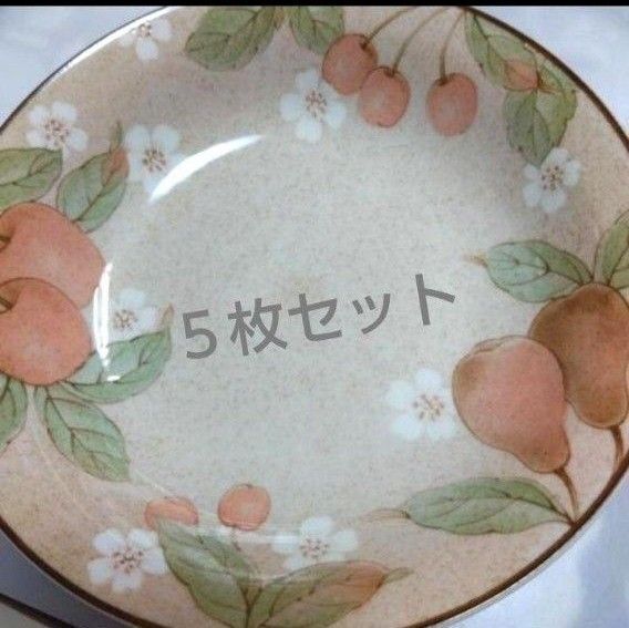 エクセレント カレー皿 5枚セット かわいい(^^)