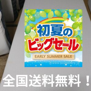 〜6/25限定!57850円⇒24999円!初夏のビックセール!全国送料無料!エマ・スリープ エマ・ハイブリッドV2 シングル
