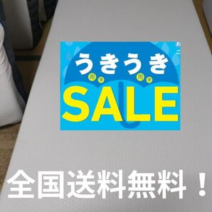 雨季うきセール!全国送料無料!エマ・スリープ エマ・ハイブリッドV2 シングル