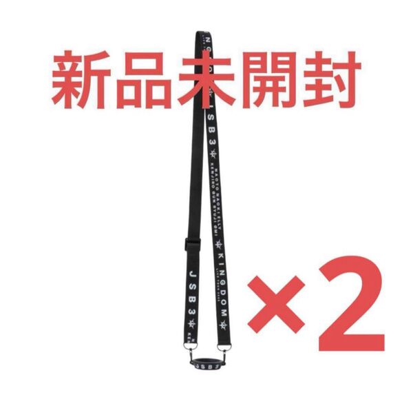 三代目 JSOULBROTHERS LIVE TOUR 2025 KINGDOM Light Stick ストラップ 2つ