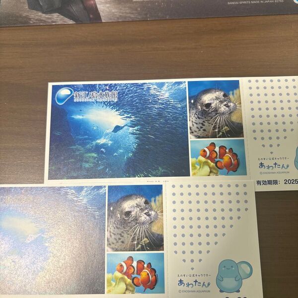 新江ノ島水族館 入園券 2枚 新江ノ島水族館