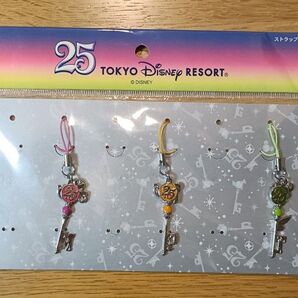 東京ディズニーリゾート 25周年 ストラップ 3本