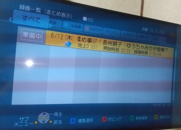 Panasonic Blu-rayレコーダー トリプル録画 DMR-BZT600