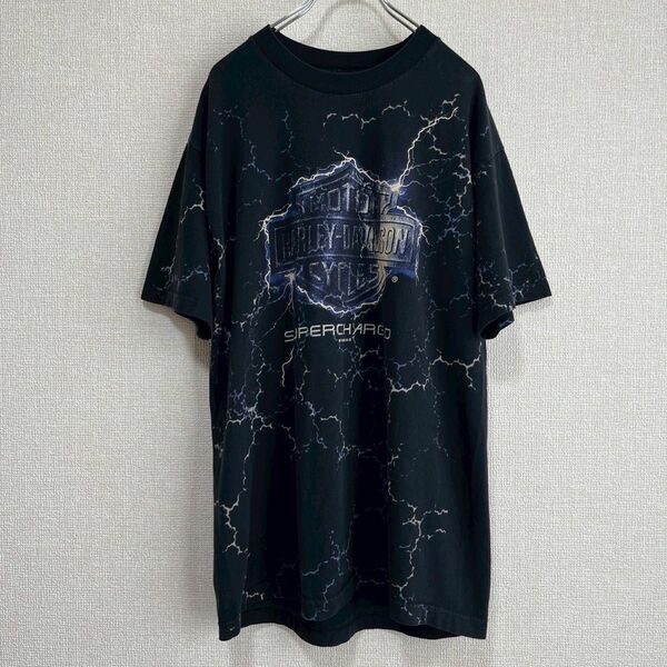 【希少】90's HARLEY-DAVIDSON サンダーT アイダホ州 L