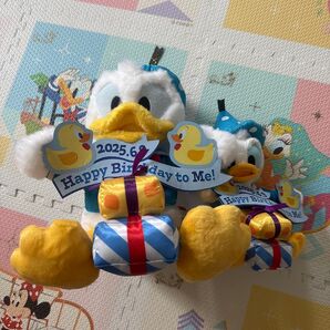 東京ディズニーランド ドナルド パルパルーザ ぬいぐるみ ぬいば バースデー タグ付 ぬいぐるみバッジ ディズニー TDR