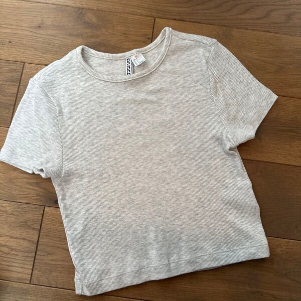 H&M 半袖Tシャツ リブ素材 グレー Sサイズ
