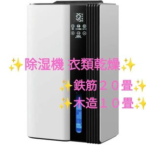 除湿機 除湿器 衣類乾燥 20畳対応 静音 小型 除湿器 大容量 消臭 梅雨 結露対策 静音 省エネ 軽量 部屋干し ホワイト 白