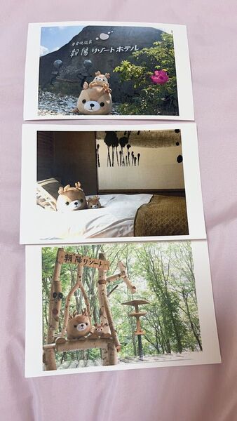 北海道 朝陽亭リゾート限定 ポストカード 絵はがき