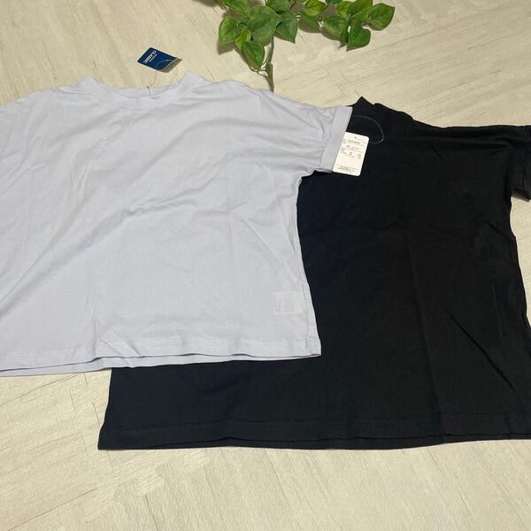 新品 160 半袖Tシャツ 綿100 二枚 シンプル Tシャツ 無地