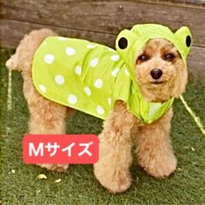 犬用レインコート 水玉模様 カエル Mサイズ