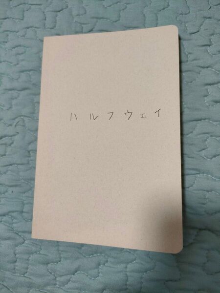 映画 ハルフウェイ 劇場パンフレット 北乃きい 岡田将生