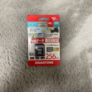 GIGASTONE microSDXCカード 256GB ニンテンドースイッチ対応