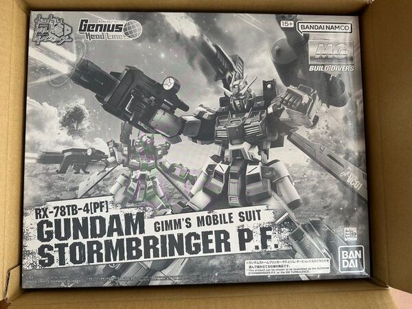 MG ガンダムストームブリンガー P F