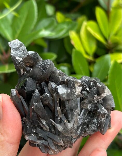 ★モリオンクラスター(黒水晶)★原石 浄化 クラスター 置物 天然石