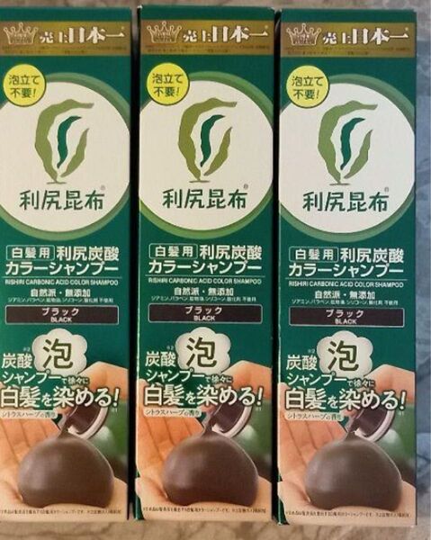 新品 利尻炭酸カラーシャンプー ブラック 黒 180gx 3本 白髪用 サスティ 白髪染め ヘアカラー 利尻カラーシャンプー