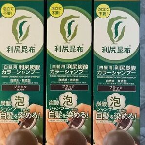 新品 利尻炭酸カラーシャンプー ブラック 黒 180gx 3本 白髪用 サスティ 白髪染め ヘアカラー 利尻カラーシャンプー