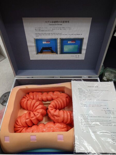 医療用トレーニングモデル 大腸内視鏡モデルⅠ B型