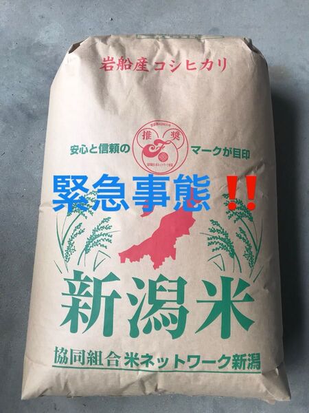令和6年産 新潟県 岩船産コシヒカリ 玄米
