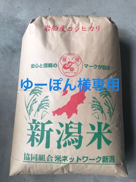 令和6年産 新潟県 岩船産コシヒカリ 玄米20kg 【専用以外はキャンセルします。】