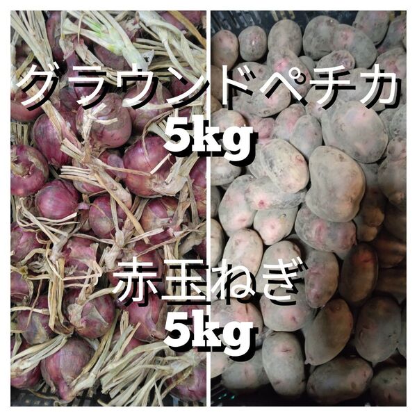 グランドペチカ 赤玉ねぎ 各5kg