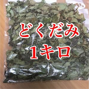 乾燥どくだみ 1キロ どくだみ 無農薬