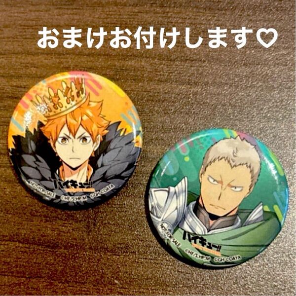 ハイキューファンパーク fan park ハイドリ 缶バッジ 日向 青根 非売品