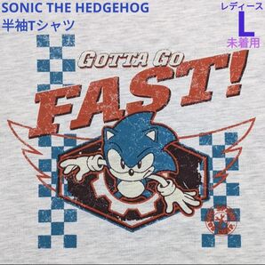 ソニックザヘッジホッグ 半袖Tシャツ Lサイズ オートミール 新品 未着用 レトロゲームキャラクター セガ ソニック SONIC