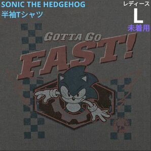 ソニックザヘッジホッグ 半袖Tシャツ Lサイズ ダークグレー 新品 未着用 レトロゲームキャラクター セガ ソニック SONIC