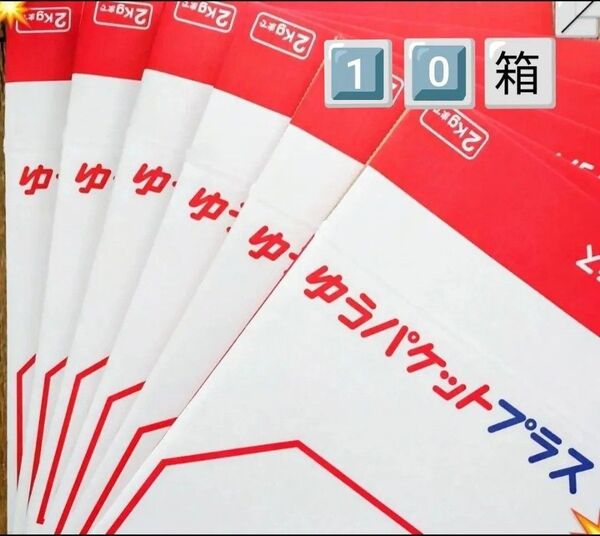 10点 1種 箱詰め合わせ 箱 詰め合わせ ゆうパケットプラス専用箱 ゆうパケットプラス 専用箱