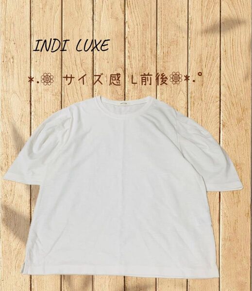 レディース トップス 半袖〜五分袖 Tシャツ カットソー ふんわり袖 ホワイト サイズ感 L前後