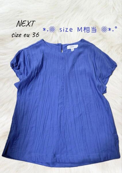 レディース Tシャツ シャツ ブラウス カットソー ふんわり袖 フレンチスリーブ ブルー サイズeu36 M相当